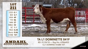 Lot #211 - TA L1 DOMINETTE 841F