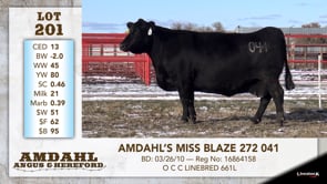 Lot #201 - AMDAHL'S MISS BLAZE 272 041