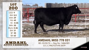 Lot #200 - AMDAHL MISS 778 031