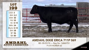 Lot #199 - AMDAHL DIXIE ERICA 711P 069