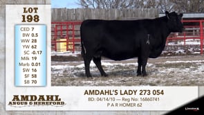 Lot #198 - AMDAHL'S LADY 273 054