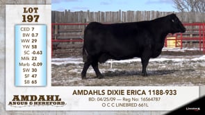 Lot #197 - AMDAHLS DIXIE ERICA 1188-933