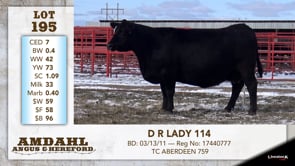 Lot #195 - D R LADY 114