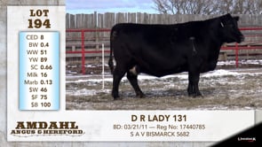 Lot #194 - D R LADY 131