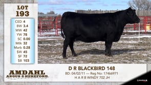 Lot #193 - D R BLACKBIRD 148