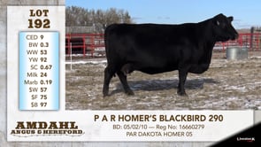 Lot #192 - P A R HOMER'S BLACKBIRD 290