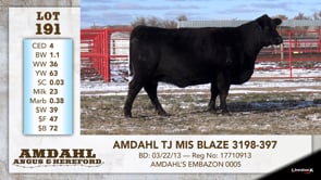 Lot #191 - AMDAHL TJ MIS BLAZE 3198-397