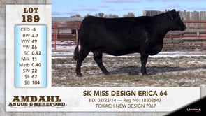 Lot #189 - SK MISS DESIGN ERICA 64