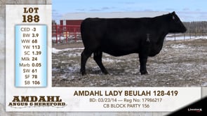 Lot #188 - AMDAHL LADY BEULAH 128-419