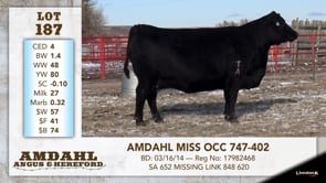 Lot #187 - AMDAHL MISS OCC 747-402