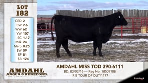 Lot #182 - AMDAHL MISS TOC 390-6111