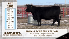 Lot #180 - AMDAHL DIXIE ERICA 382-644