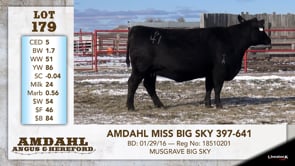 Lot #179 - AMDAHL MISS BIG SKY 397-641