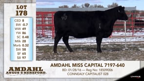 Lot #178 - AMDAHL MISS CAPITAL 7197-640