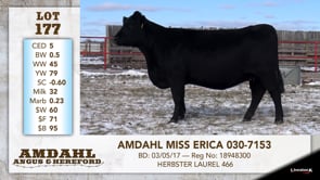Lot #177 - AMDAHL MISS ERICA 030-7153