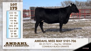 Lot #175 - AMDAHL MISS MAY 5101-706