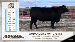 Lot #173 - AMDAHL MISS MVP 778-763