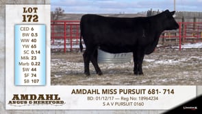 Lot #172 - AMDAHL MISS PURSUIT 681-714