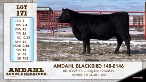 Lot #171 - AMDAHL BLACKBIRD 148-8146