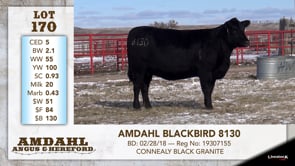 Lot #170 - AMDAHL BLACKBIRD 8130
