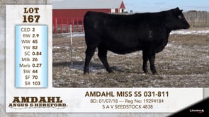 Lot #167 - AMDAHL MISS SS 031-811