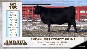 Lot #165 - AMDAHL MISS COWBOY 393-849