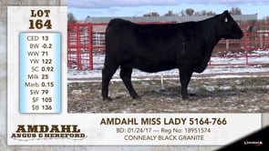 Lot #164 - AMDAHL MISS LADY 5164-766