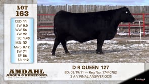 Lot #163 - D R QUEEN 127