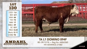 Lot #130 - TA L1 DOMINO 894F