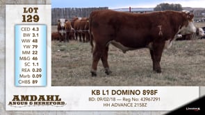 Lot #129 - KB L1 DOMINO 898F