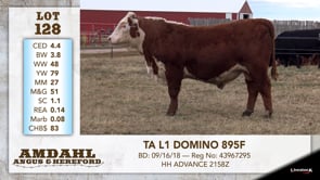 Lot #128 - TA L1 DOMINO 895F