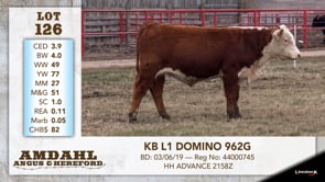 Lot #126 - KB L1 DOMINO 962G