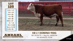 Lot #125 - KB L1 DOMINO 958G