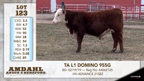 Lot #123 - TA L1 DOMINO 955G