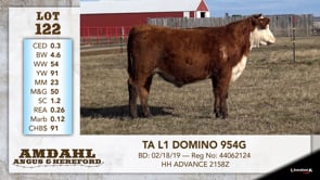 Lot #122 - TA L1 DOMINO 954G