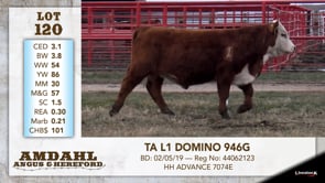 Lot #120 - TA L1 DOMINO 946G