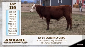 Lot #119 - TA L1 DOMINO 945G