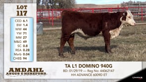 Lot #117 - TA L1 DOMINO 940G