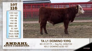 Lot #116 - TA L1 DOMINO 939G