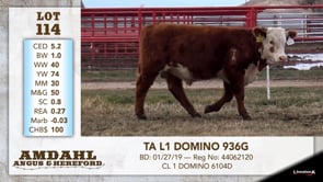 Lot #114 - TA L1 DOMINO 936G