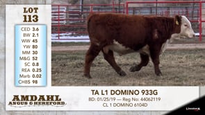 Lot #113 - TA L1 DOMINO 933G