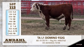Lot #112 - TA L1 DOMINO 932G