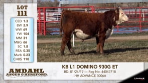 Lot #111 - KB L1 DOMINO 930G
