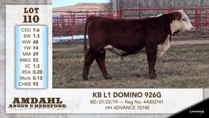 Lot #110 - KB L1 DOMINO 926G