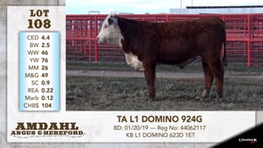 Lot #108 - TA L1 DOMINO 924G