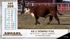 Lot #105 - KB L1 DOMINO 915G