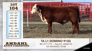 Lot #104 - TA L1 DOMINO 913G