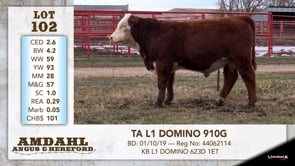 Lot #102 - TA L1 DOMINO 910G