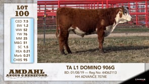 Lot #100 - TA L1 DOMINO 906G