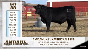 Lot #88 - AMDAHL ALL AMERICAN 8159